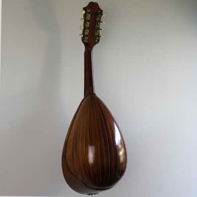Giuseppe Indelicato Contarino Neapolitan Mandolin - c. 1910 - Made in Catania, Italy image 12
