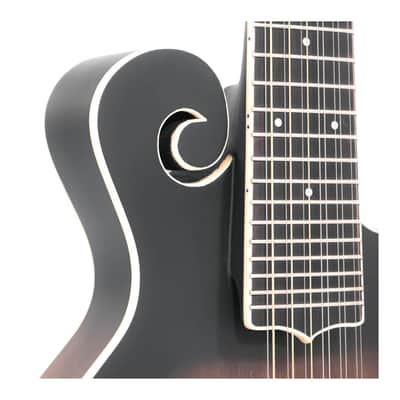Gold Tone F-12: 12-string F-style Mando-Guitar with Pickup and Case image 4