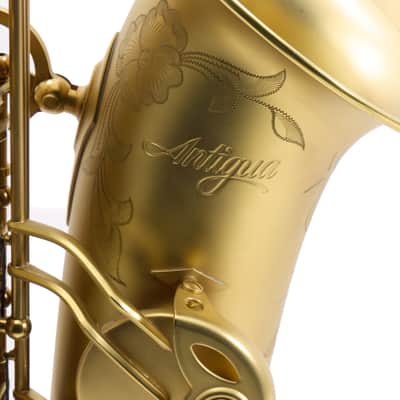 Antigua Winds Model AS4348CU Alto Saxophone in Unlacquered Brass SN UAS110015 image 2