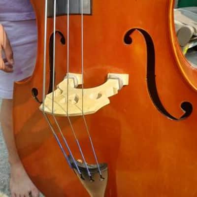 Samuel Eastman VB80 1/4 size acoustic bass 2013 amber image 2