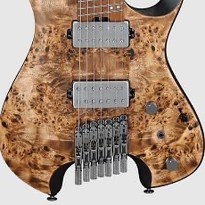Ibanez QX527PB ABS 7 String Electric Guitar. Antique Brown Stain image 1
