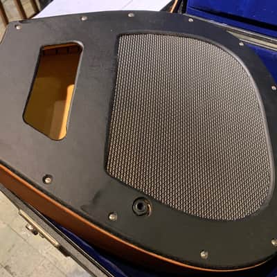 Georg Bolin Tonbord Acoustic Amplifier image 8