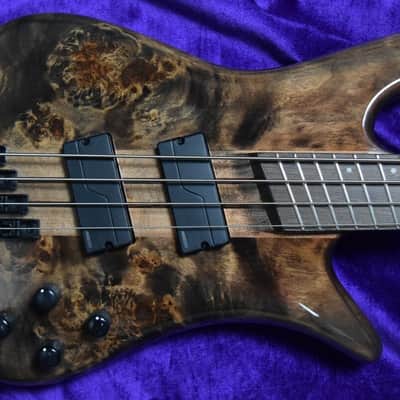Spector NS Dimension 4-String, Super Faded Black Gloss Over Poplar Burl / Wenge image 1