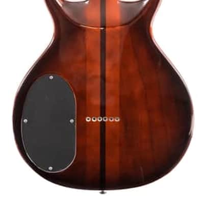Washburn Hawk 6-String Tobacco Sunburst (B Stock) image 2