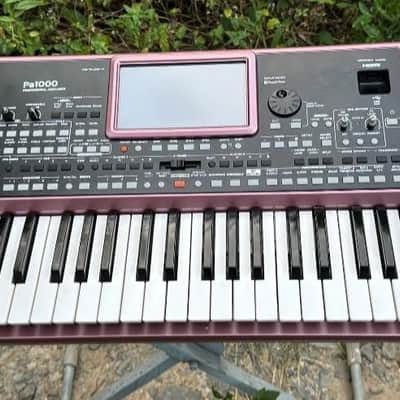 Korg Pa900 with Korg Pa1000 body kit image 7