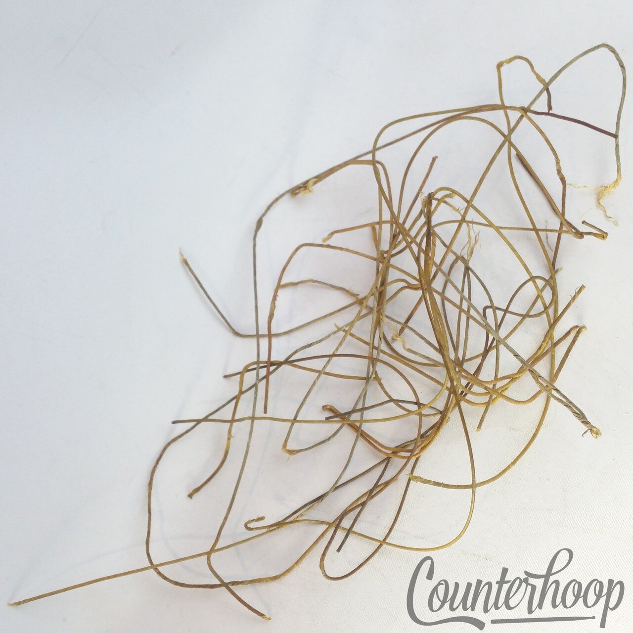"Cat"Gut(Sheep)Natural Snare Drum Wires/Strands Parts Lot Leedy/Ludwig/Early USA — main photograph