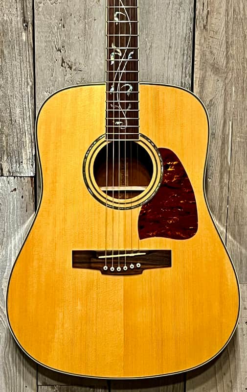 Excellent Ibanez AW40-NT Art Wood Acoustic W / Tree Of Life Vine