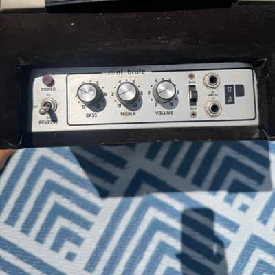 Polytone Mini Brute 3 MINT image 4