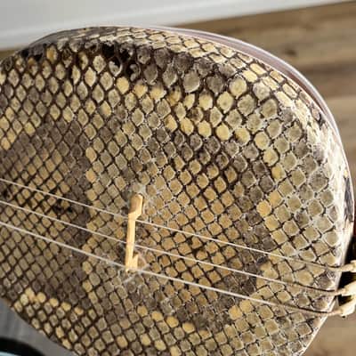 Mongolian Shanz/Shadruga (like Sanxian/Shamisen) – Fretless Folk Banjo image 12