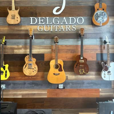 Washburn D48 SW Acoustic image 1