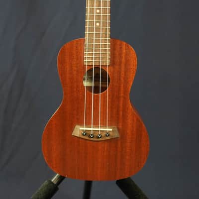 Islander MC-4 Mahogany Concert Ukulele w/Soft Case - Used image 5