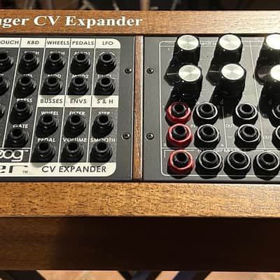 Moog VX-351 + CP-251  Voyager CV Expander image 1