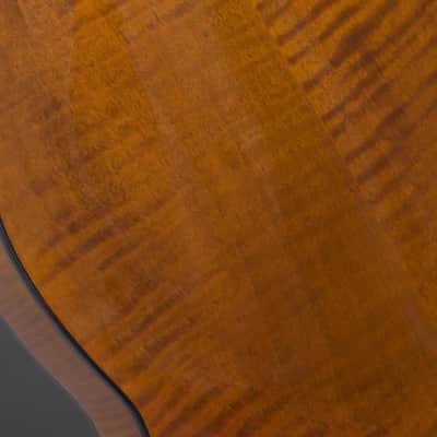 Northfield Big Mon w/ Engelmann Top in Amber (#B260885) image 16