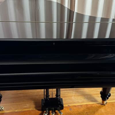 C. Bechstein B 1919 - Ebony Polish image 24