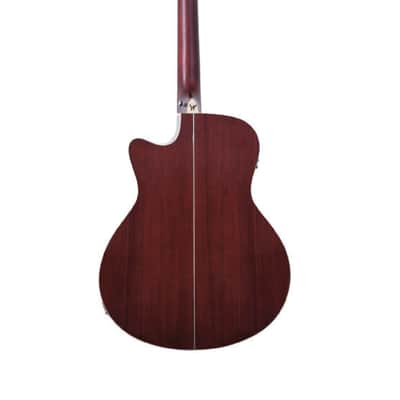 Washburn Acoustic Electric Guitar Cutaway Grand Auditorium - Forest Burl Amber Fade image 3