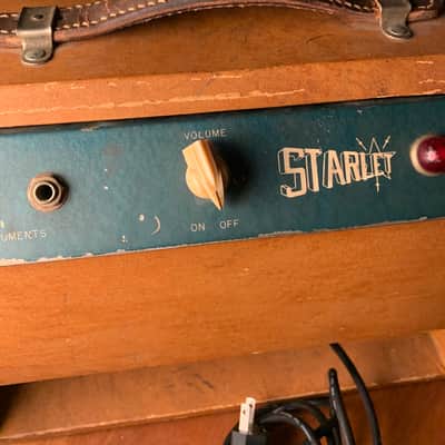 Magnatone Model 107 “Starlet” 1950s Combo Amplifier image 10