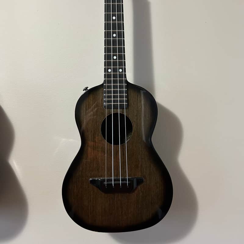 2022 Synergy Tenor Gloss