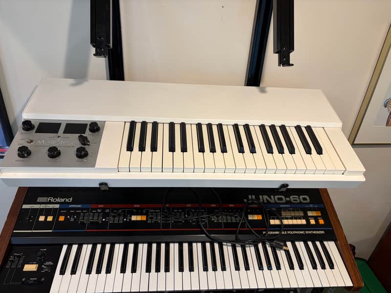 Mellotron M4000D Mini 2018 - Present - White with sound card 2 and 3 ($500 each) and flight case ($350 retail) image 1