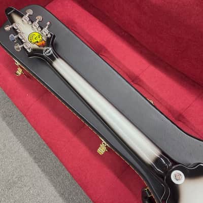 Epiphone Brent Hinds Signature Flying V Custom with Case - Silver Burst image 16