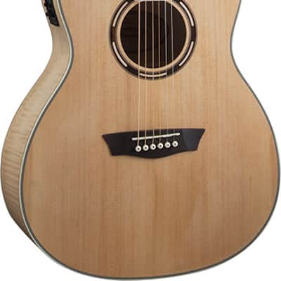 Washburn Apprentice Apprentice AG40CE w/Case image 1