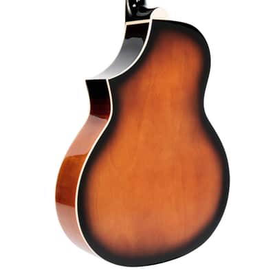 Gold Tone DOJO-DLX Cutaway Body Flamed Maple Top Maple Neck Deluxe 5-String Resonator Banjo with Hard Case & Pickup image 4