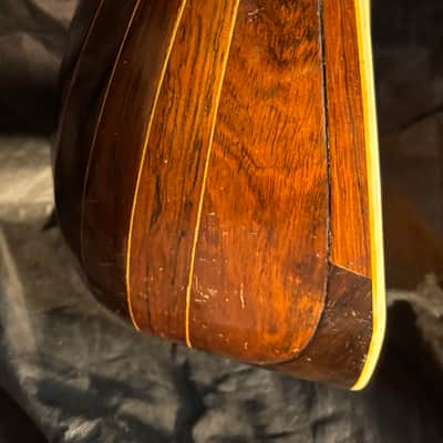 American conservatory Lyon & Healy Bowl Back mandolin - Early 1900s  - Brazilian Rosewood - All Org. - Great Player - Ships FREE!!! image 12