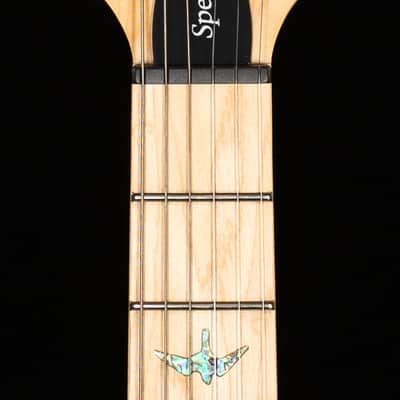 PRS SE Swamp Ash Special Charcoal (706) image 5