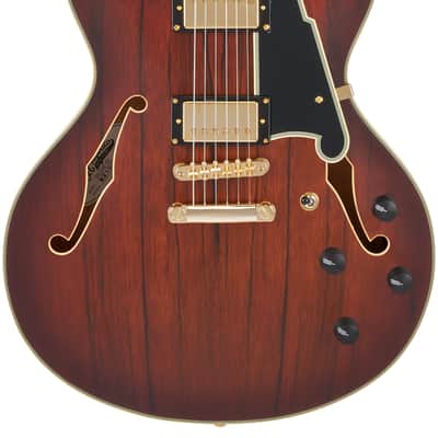 D'Angelico Deluxe DC Satin Brown Burst w/Case image 1