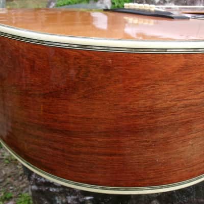 1975 Yairi YW-600 Dreadnought Guitar New Jacaranda Natural+Vintage Flight Case image 15