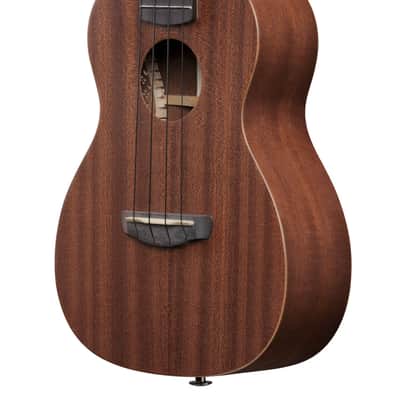 Ibanez UKS100OPN Soprano Ukulele Open Pore - With Gigbag (UKS100OPN) image 7