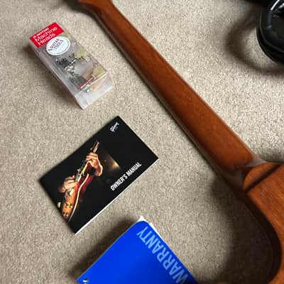 Gibson Les Paul Classic 2006 - Bullion Gold image 10