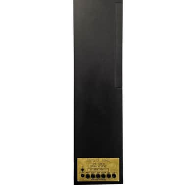 Days Of Yore Audio THE TOWER Vertical Studio Spring Reverb w/ Remote image 4