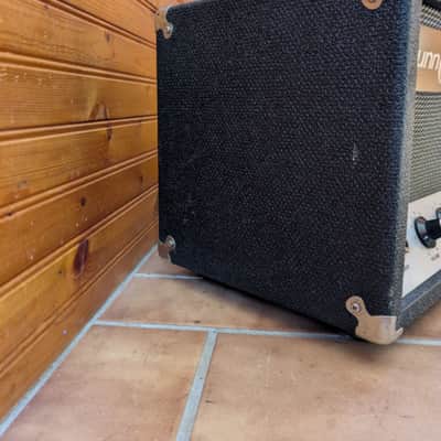 Vintage 1960s Sunn Spectrum II Bass/Guitar Tube Amp image 4
