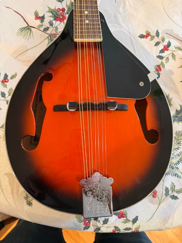 Laurel M-1 Mandolin - Vintage Sunburst image 1