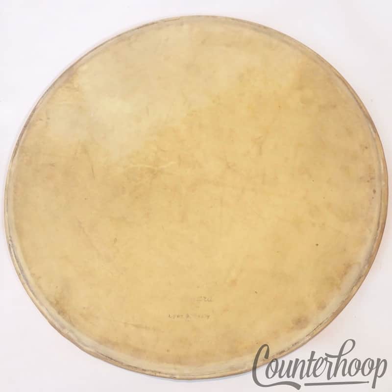 *Lyon&Healy 13" Calf Skin Tom/Snare Drum Head Calfskin Batter Amrawco Standard* image 1