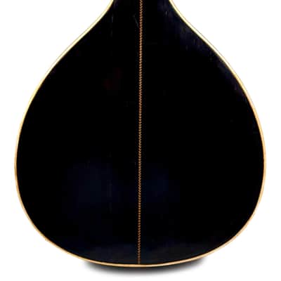 Flat-Back Mandolin Model Luxe Bruno Klemm 1890's / 1900's image 9