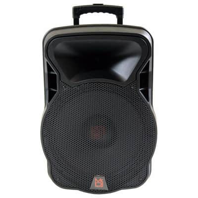 PRO 4000W Bluetooth DSP FM Radio USB Portable PA DJ KARAOKE Speaker image 6
