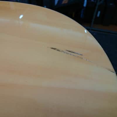 Pignose Dreadnaught Acoustic Guitar  (Natural Gloss) image 3