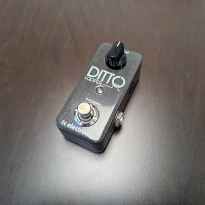 TC Electronic Ditto Looper Pedal image 1