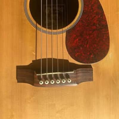 Martin DCX1E Sitka Spruce/HPL Dreadnought with Cutaway 2007s - Natural image 7
