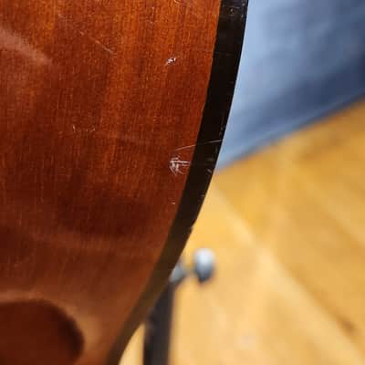 Alvarez 5102 Regent Classic Acoustic Natural New Strings 8/5/25 image 15