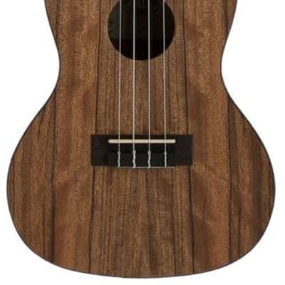 Kala KA-PWC Pacific Walnut Concert Ukulele image 1