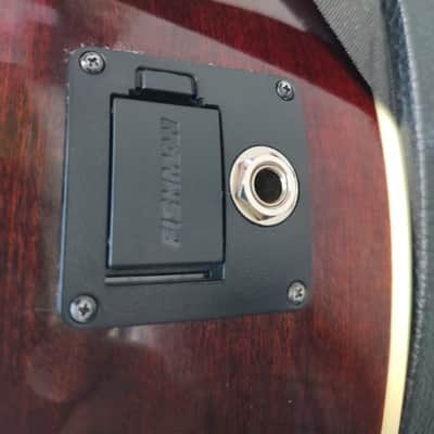 PRS A40ETS 2018 - Sunburst image 13