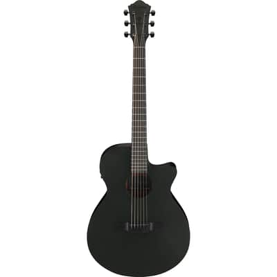 Ibanez AEG Series AEG621 Acoustic Electric Guitar, Black Out image 1