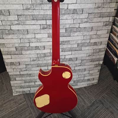 Arbor Les Paul Copy image 7