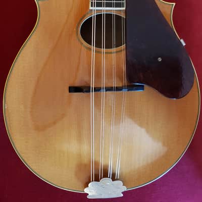 Martin Mod. 20 1935 Blond image 4