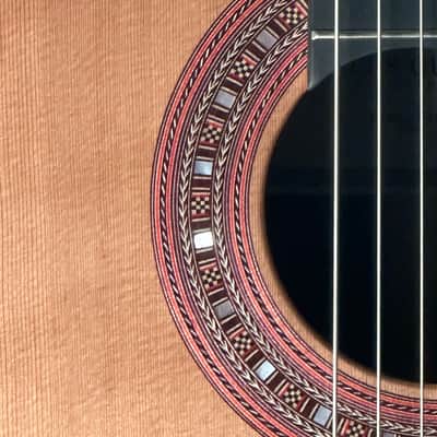 SAERS M700 Cedar+Spruce Double Top 2024 - French Polish image 3