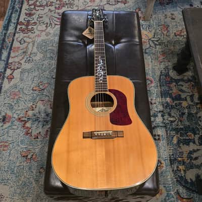 1995 Washburn D95LTD Limited Edition Dreadnaught w/Hard Case image 2