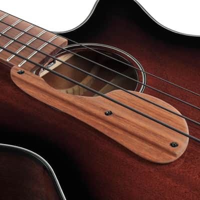 Ibanez AEGB24E Acoustic/Electric Bass Guitar - Mahogany Sunburst High Gloss image 7