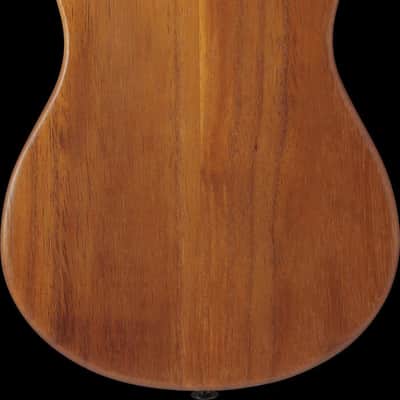 Ibanez AUT10-OPN AU Tenor Ukulele - Open Pore Natural + Gig Bag image 14